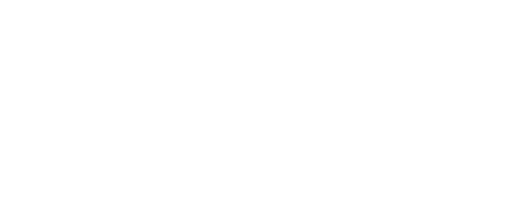 Logo Solv.